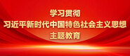 性感美女被大鸡巴操学习贯彻习近平新时代中国特色社会主义思想主题教育_fororder_ad-371X160(2)